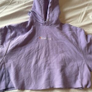 Champion Purple Hoodie
